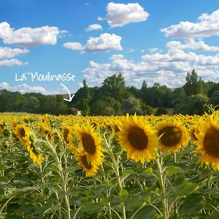 Domaine La Moulinasse * Chassaignes